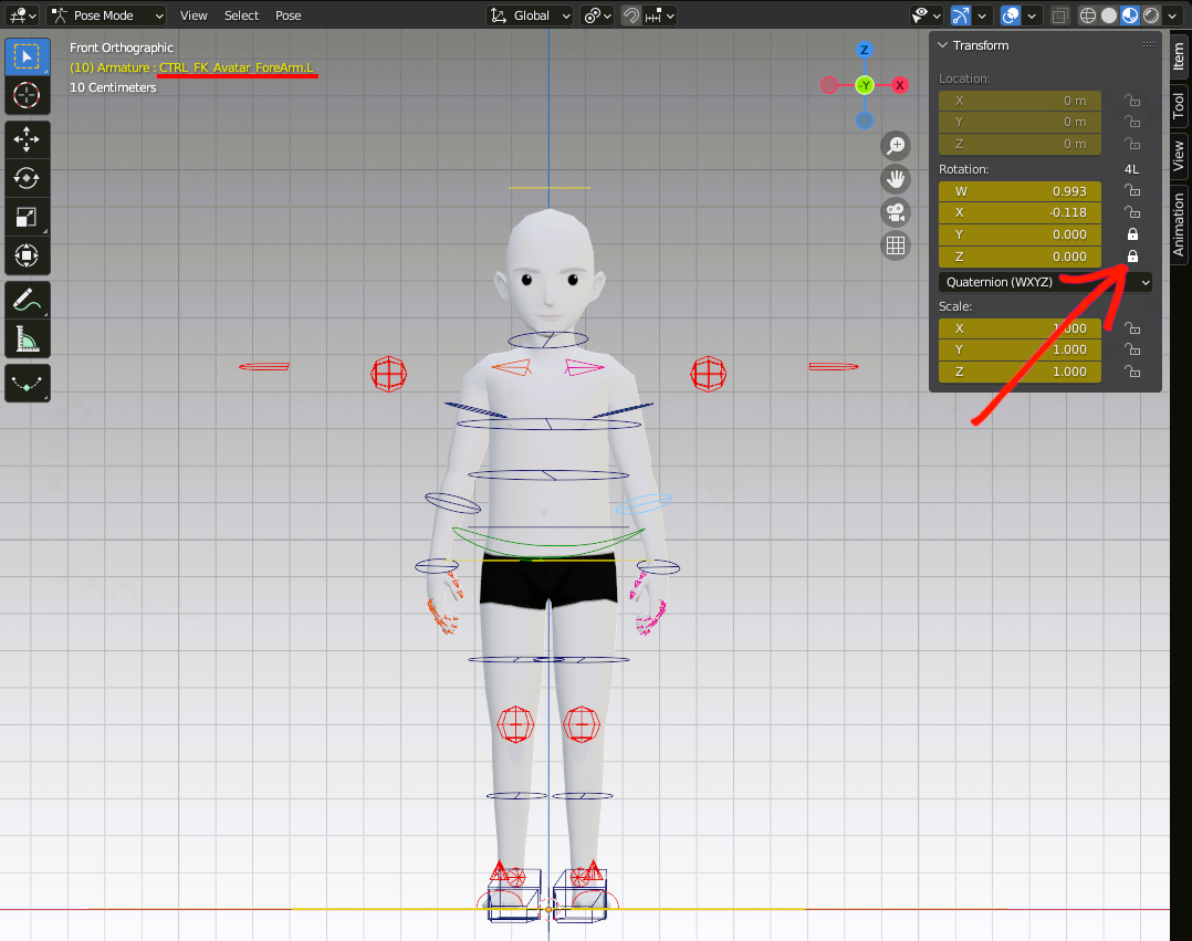 Rigging Features